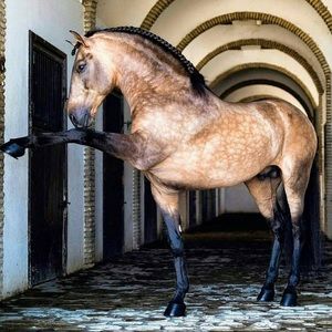 Meet your Posher, Marco